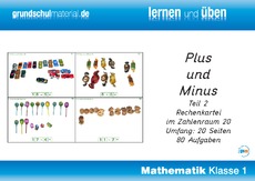 Plus und Minus ZR 20 Teil 2.pdf